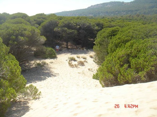 El Entorno de Do&ntilde;ana, C&aacute;diz